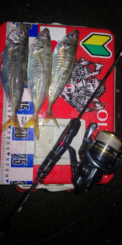 アジング練習　314 ABU スローテーパ…