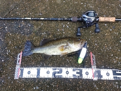 デカハネフィッシュ