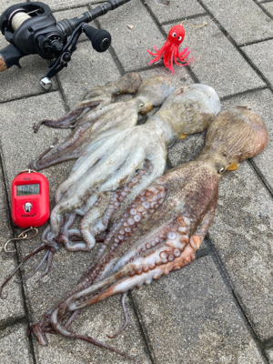 あの手この手で何とか4杯トータル1060g…