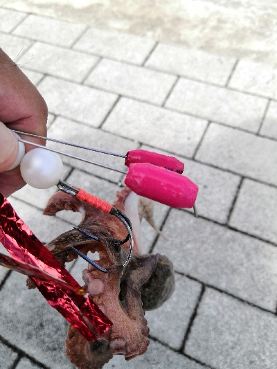 タコからの鯖祭り