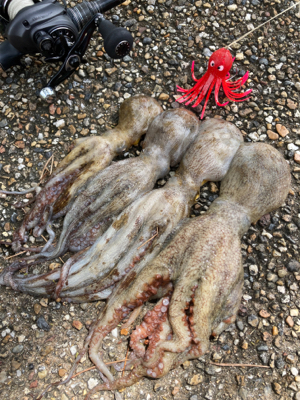 遠めにしか反応なくなりロングキャスト攻め4…