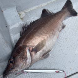 中深海スロージギング