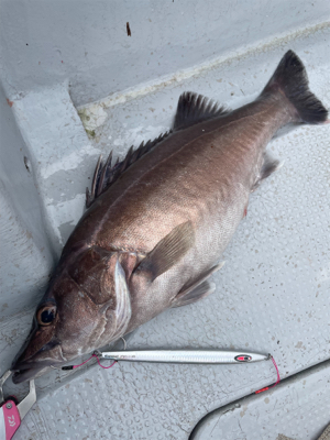 中深海スロージギング
