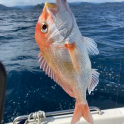 ライトジギング