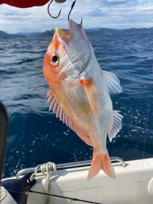 ライトジギング