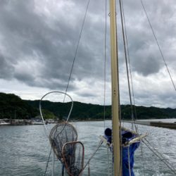 ラストイカメタル