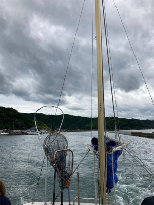 ラストイカメタル