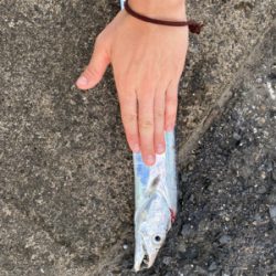 ひらひらひらひら