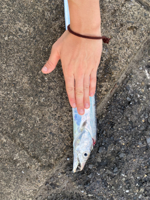 ひらひらひらひら