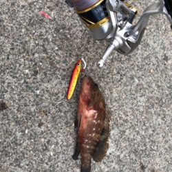 ショアジギにて青物狙いも･･･