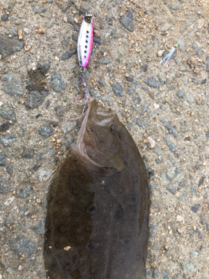 ショアジギングの旅2