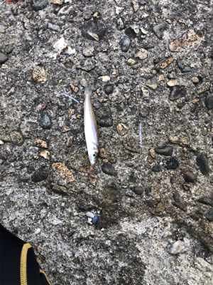 久々の釣り！キス狙い