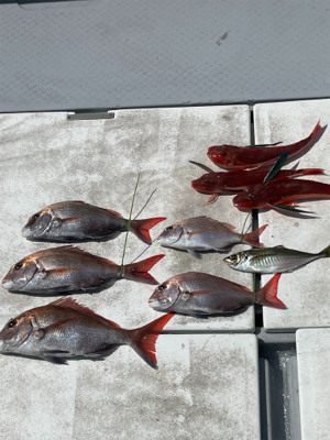 風　ウネリのなかのタイラバ