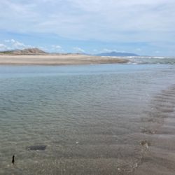 灼熱のマゴチ祭り