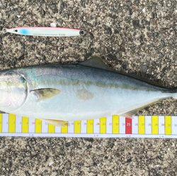 貴重なワンチャンスでした