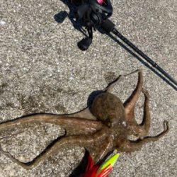 ⭐︎ラストスパート