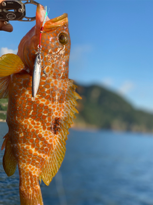 2馬力ボートで釣査