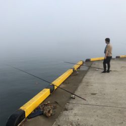 単身赴任後初釣り