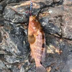 親父達の釣行 久しぶり編