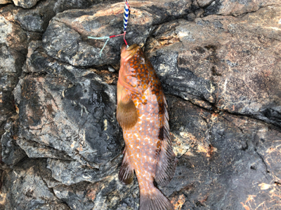 親父達の釣行　久しぶり編