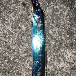 2021ライトゲーム第？戦