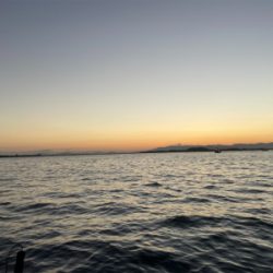 博多湾タチウオジギング