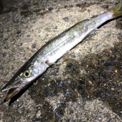 ベイトめっちゃ多い