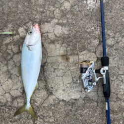 ライトショアキャスティング