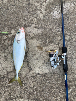 ライトショアキャスティング