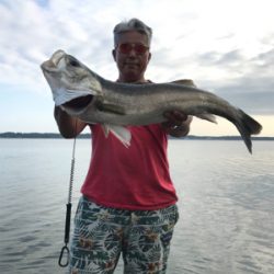 ど日中でもk2無限は強かった❗️