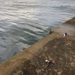 久々の一文字釣行です。