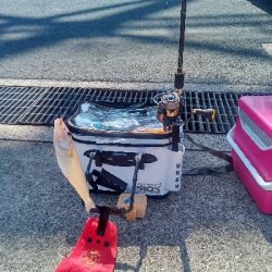 キッシング後のチーバシング？