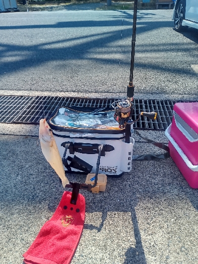 キッシング後のチーバシング？