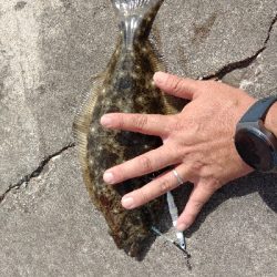 久しぶりに拝まさせていただきました