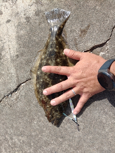 久しぶりに拝まさせていただきました