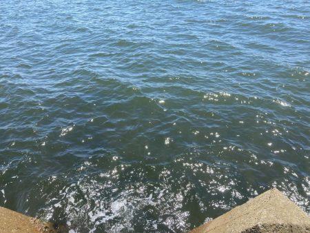 ちょい投げキス釣り