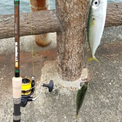 ファミリーフィッシング