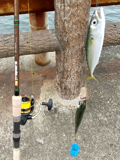 ファミリーフィッシング