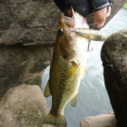 午前中の数釣り！