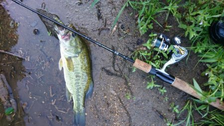 おかっぱリで数釣り！！