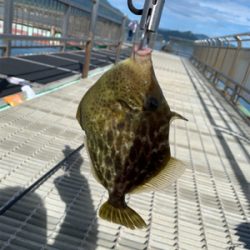 海釣り公園にて