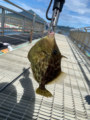 海釣り公園にて