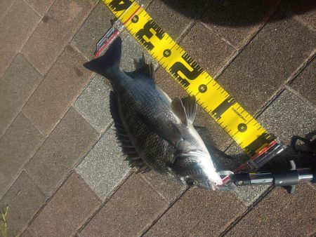 夕方2時間　～さざなみ公園～