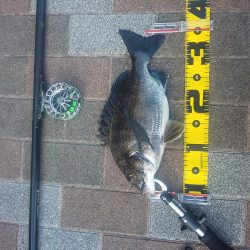 夕方2時間　～さざなみ公園～