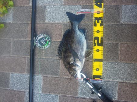 夕方2時間　～さざなみ公園～