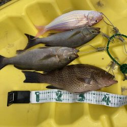 A.P.Pフィッシングガイドサービス　7月の上五島でカヤックフィッシングポイントを探す！