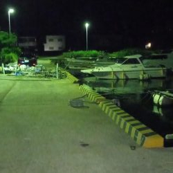 おじさんの夏休み