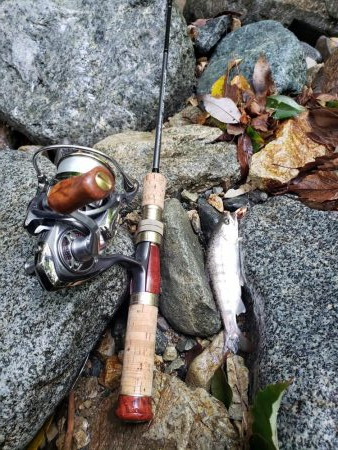 夏ヤマメ一里一匹