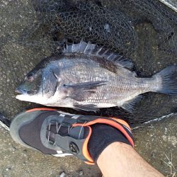 年無し2連続ヒット