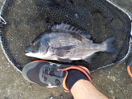 年無し２連続ヒット